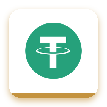 USDT payment method on BDG Win